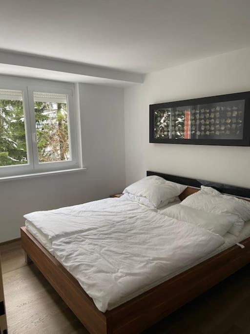 Seewohnung Mit Direktem Seezugang-Skiliftnaehe Villach Extérieur photo